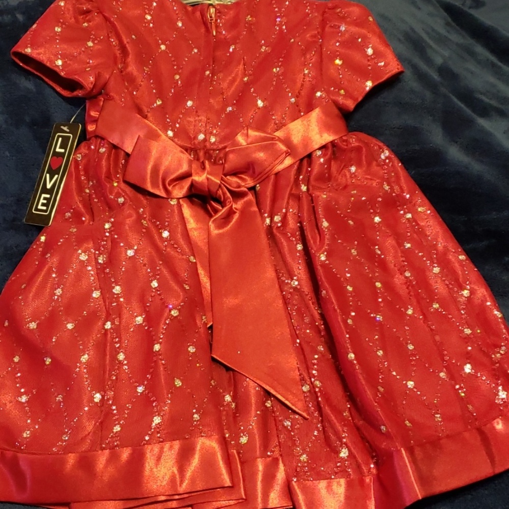 Dress - Picture 4 of 5